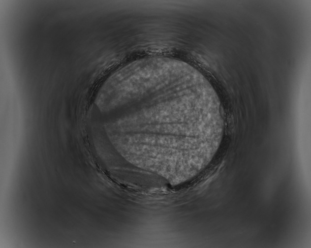 X0000087000913200705071503