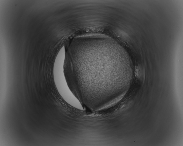 X0000087000915200705071503