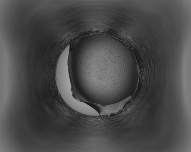 X0000087000916200705071503