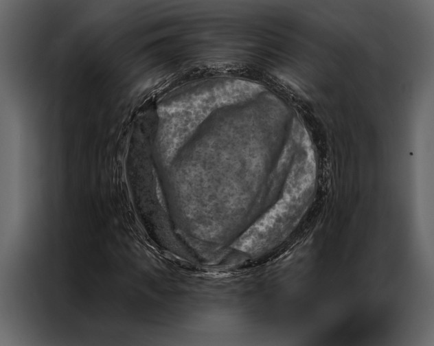 X0000087000917200705071503