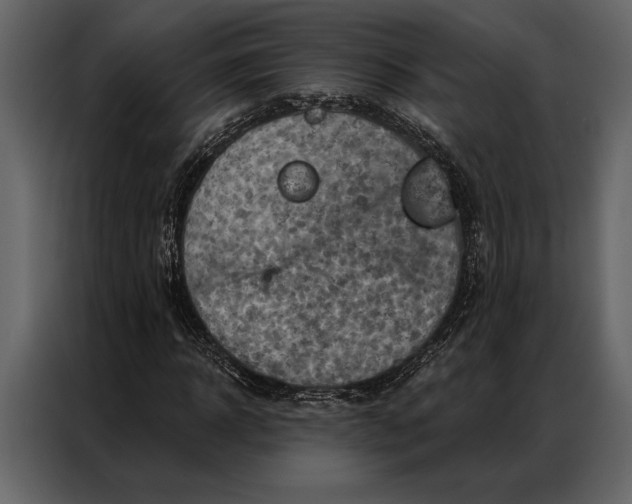 X0000087000918200705071503