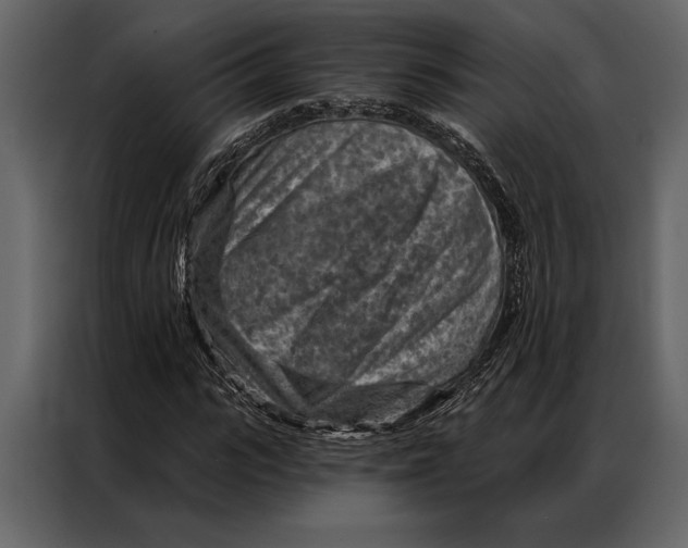 X0000087000919200705071503