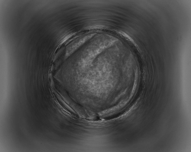 X0000087000921200705071503