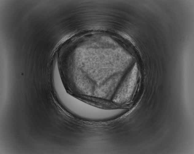 X0000087000922200705071503