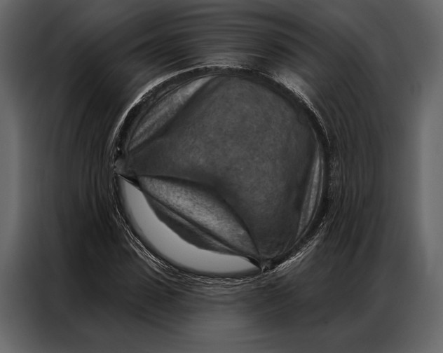 X0000087000923200705071503