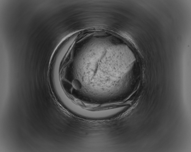 X0000087000924200705071503