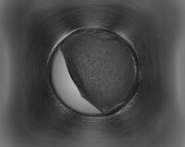 X0000087000925200705071503