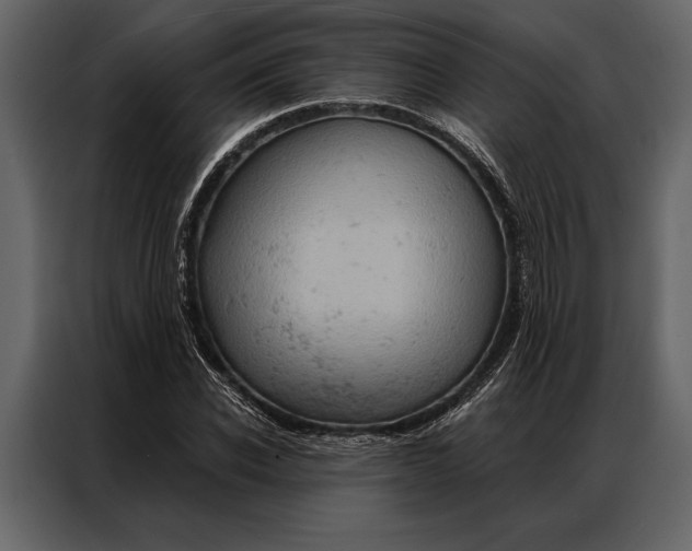 X0000087000926200705071503