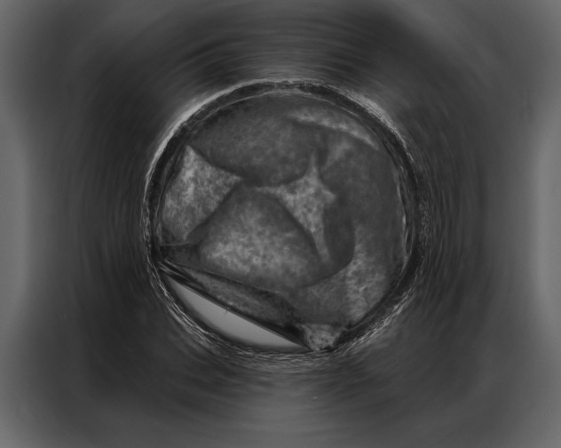 X0000087000927200705071503