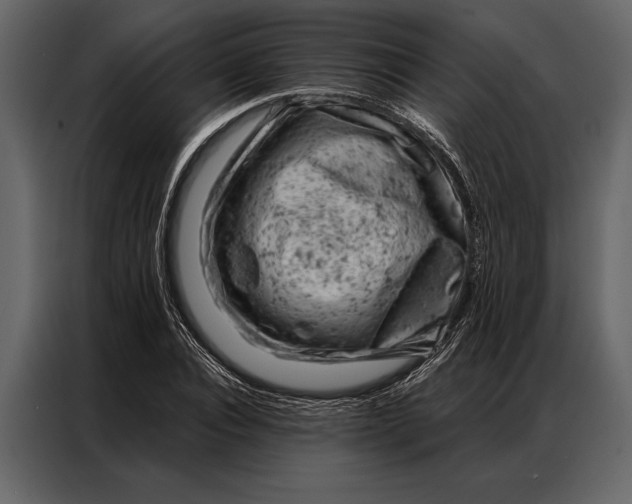 X0000087000928200705071503