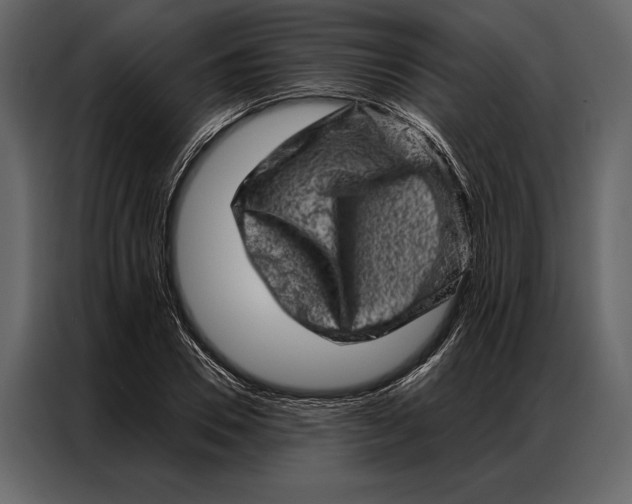 X0000087000930200705071503