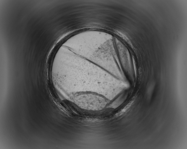 X0000087000931200705071503