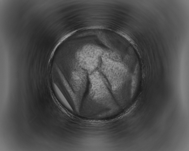 X0000087000933200705071503