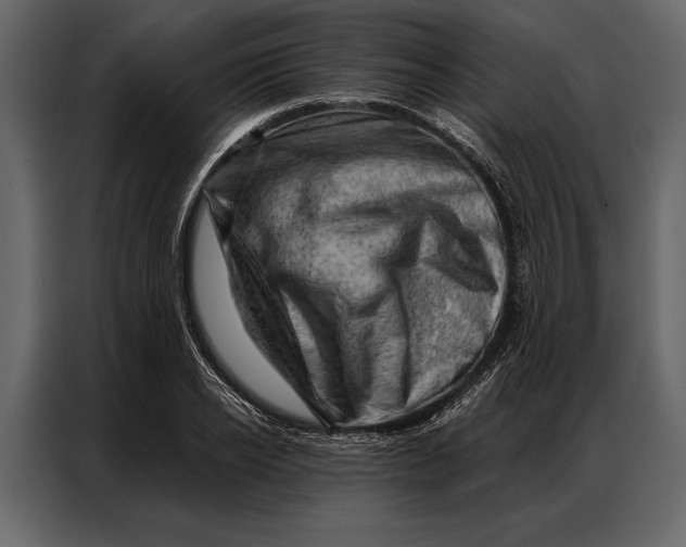 X0000087000934200705071503