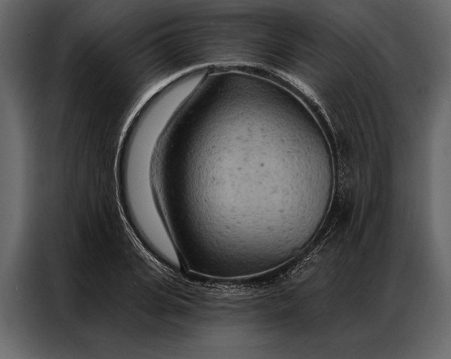 X0000087000935200705071503