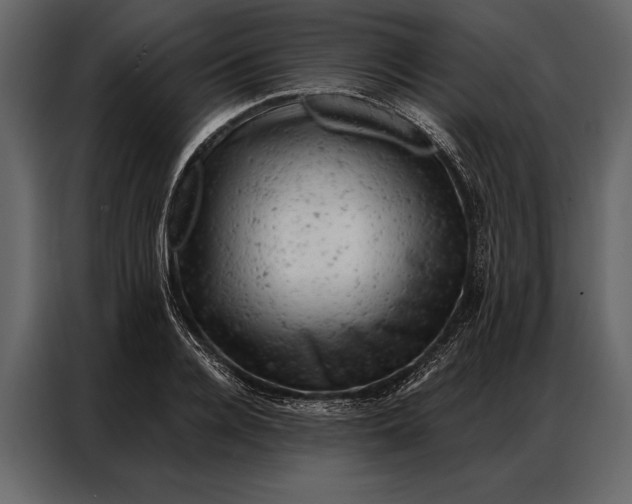 X0000087000936200705071503