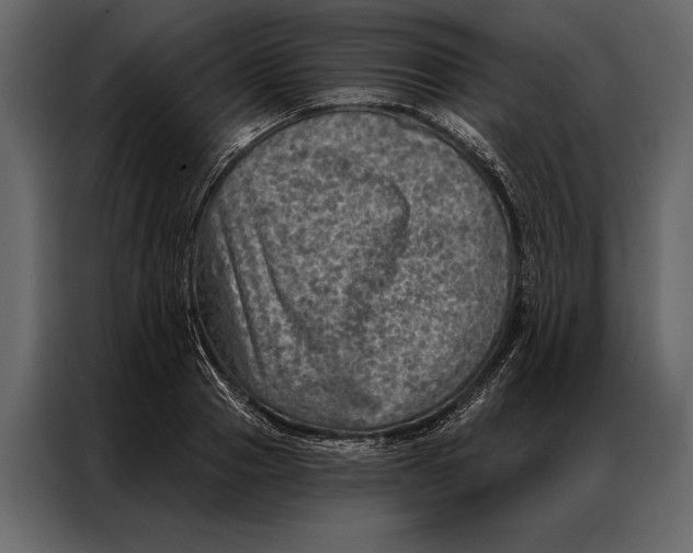 X0000087000937200705071503