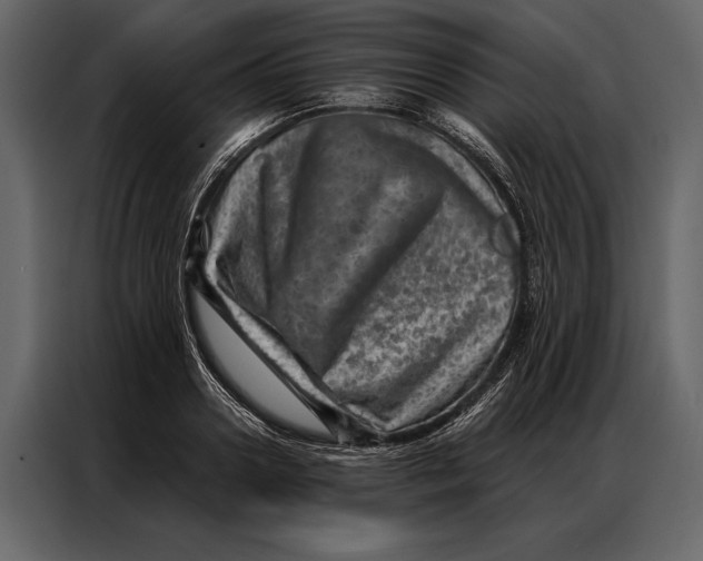 X0000087000938200705071503