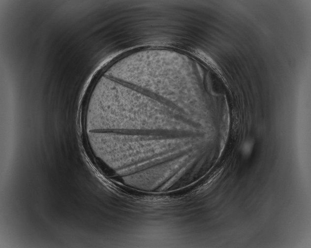 X0000087000939200705071503