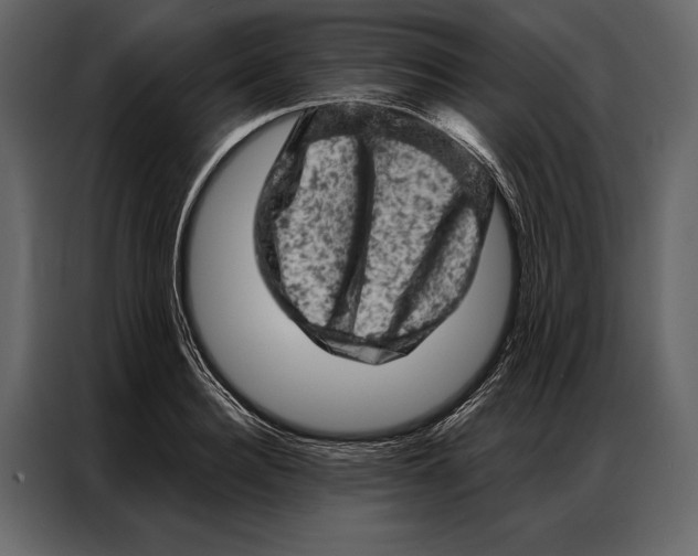 X0000087000940200705071503