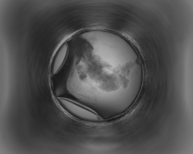 X0000087000941200705071503