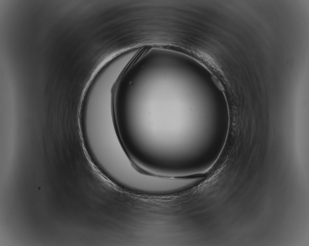 X0000087000942200705071503