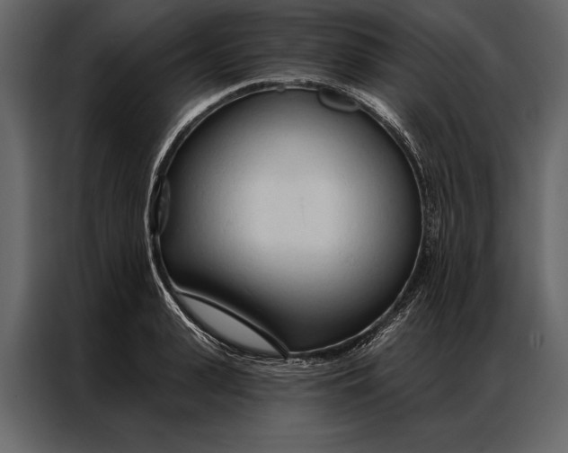 X0000087000943200705071503