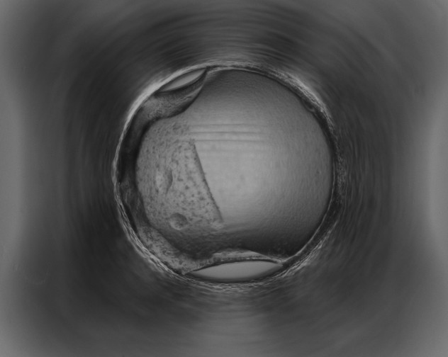 X0000087000944200705071503