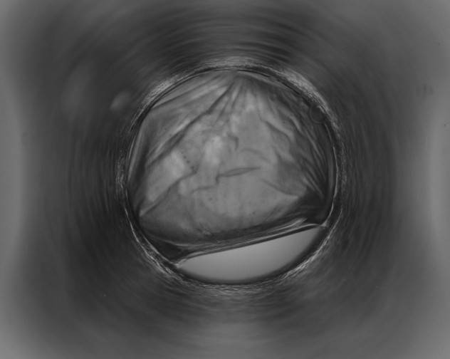 X0000087000945200705071503