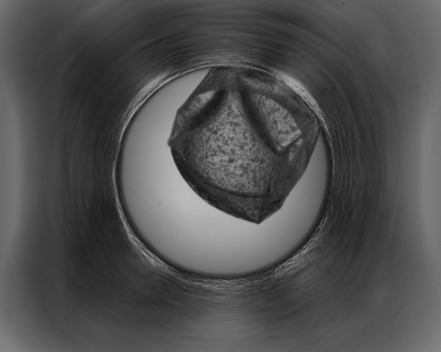 X0000087000946200705071503