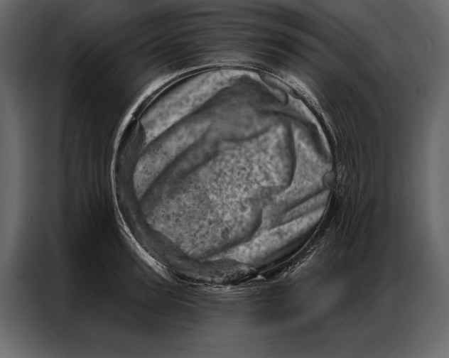 X0000087000947200705071503