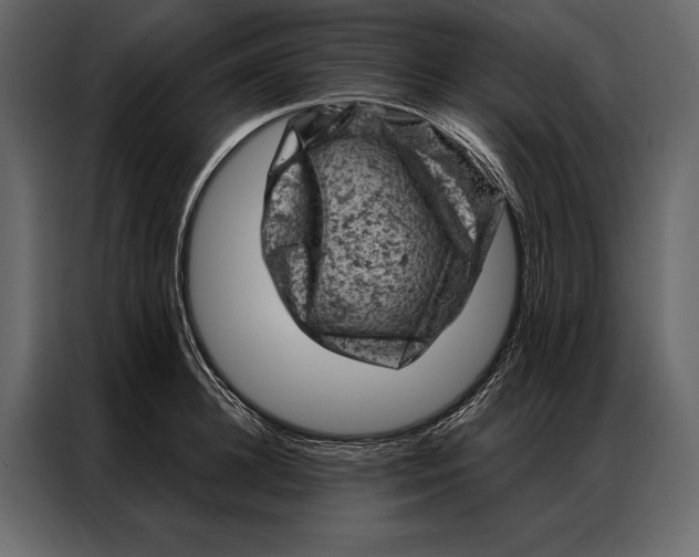 X0000087000948200705071503