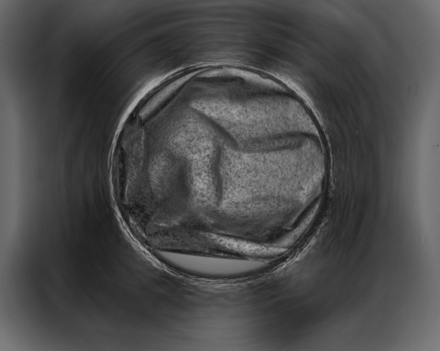 X0000087000949200705071503