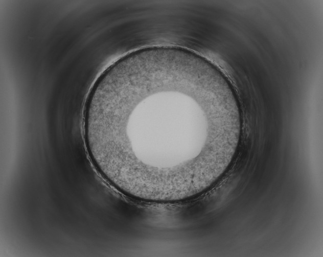 X0000087000950200705071503