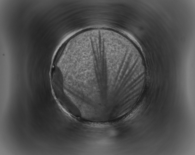 X0000087000951200705071503