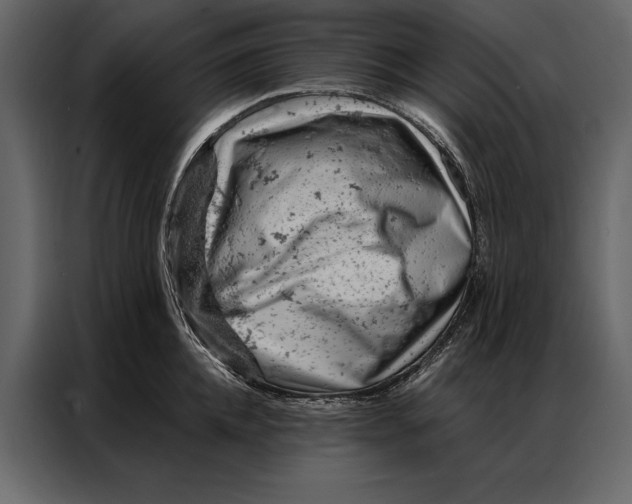 X0000087000952200705071503