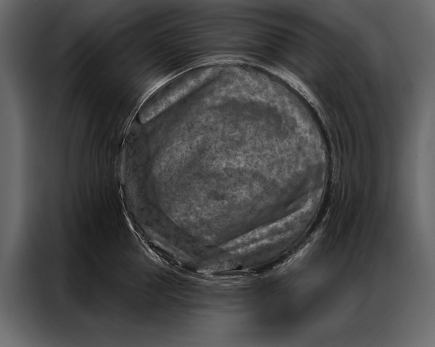 X0000087000953200705071503