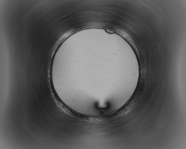 X0000087000954200705071503