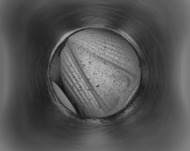 X0000087000956200705071503