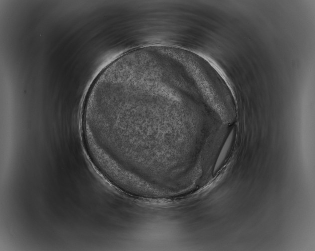 X0000087000957200705071503