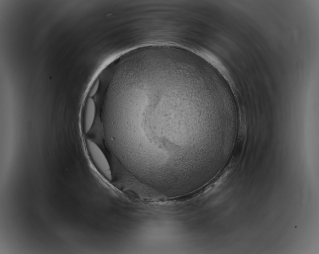 X0000087000958200705071503