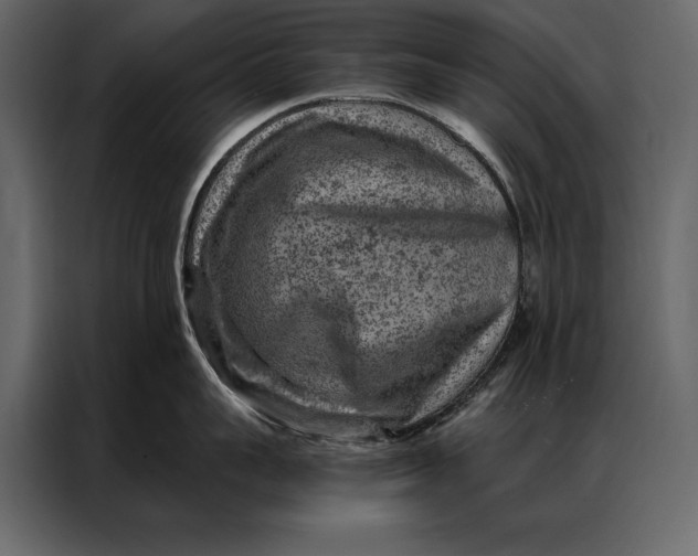 X0000087000959200705071503