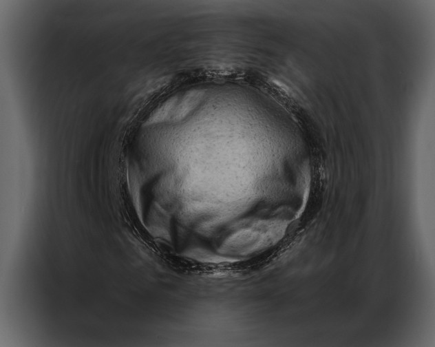 X0000087000961200705071503