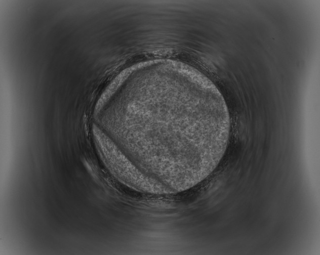 X0000087000962200705071503