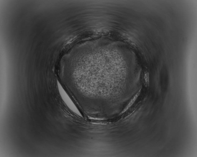 X0000087000963200705071503