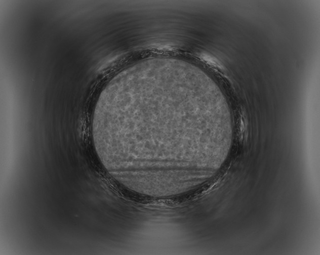 X0000087000966200705071503