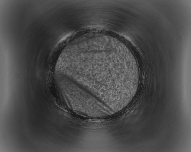 X0000087000967200705071503