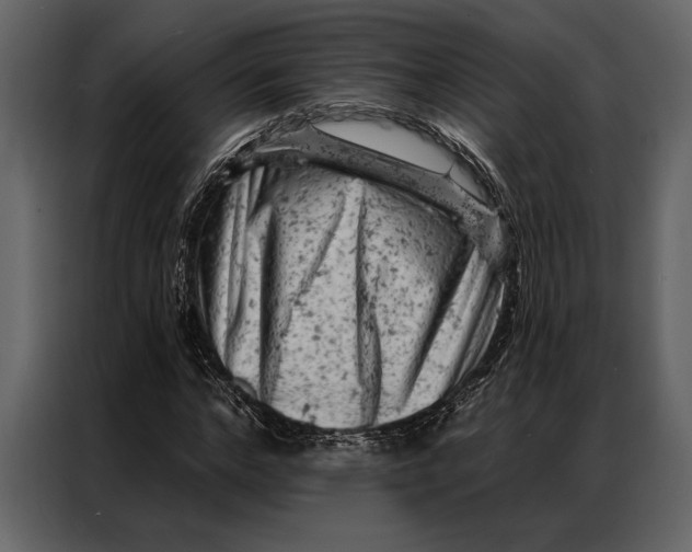 X0000087000968200705071503