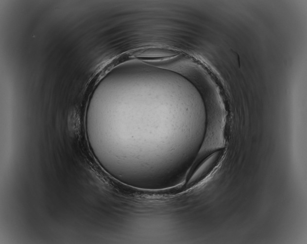 X0000087000969200705071503