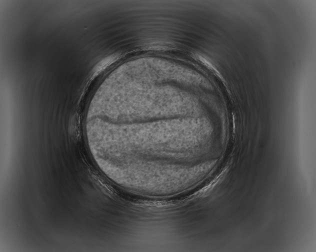 X0000087000970200705071503